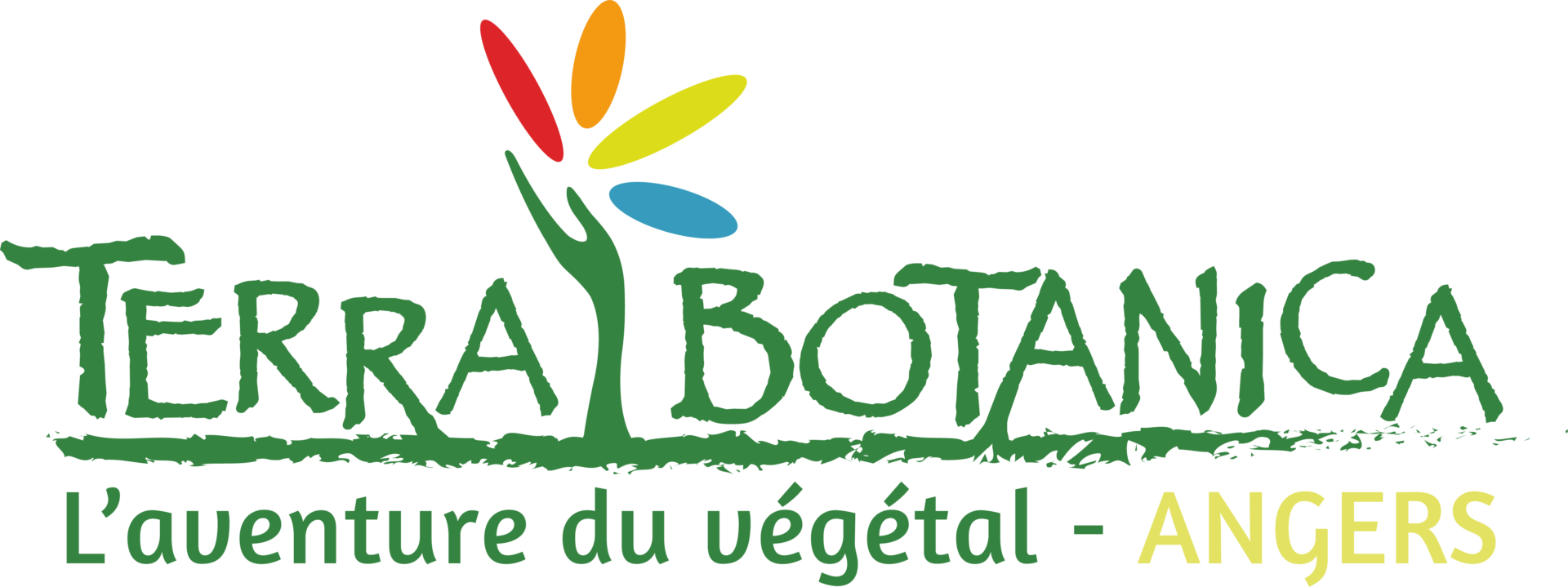 logo terra boranica vert
